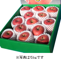 りんご ふじ贈答用5kg