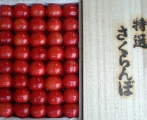 紅秀峰贈答用 最高級品特秀 手詰め