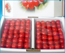 紅秀峰贈答用 特秀 手詰め1kg