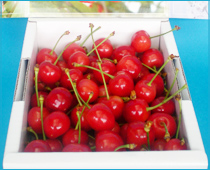 紅秀峰贈答用 特秀 バラ詰め500g