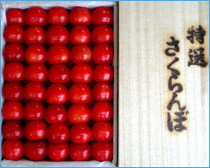 佐藤錦贈答用 最高級品特秀 手詰め500g