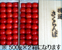 佐藤錦贈答用 最高級品特秀 手詰め1kg