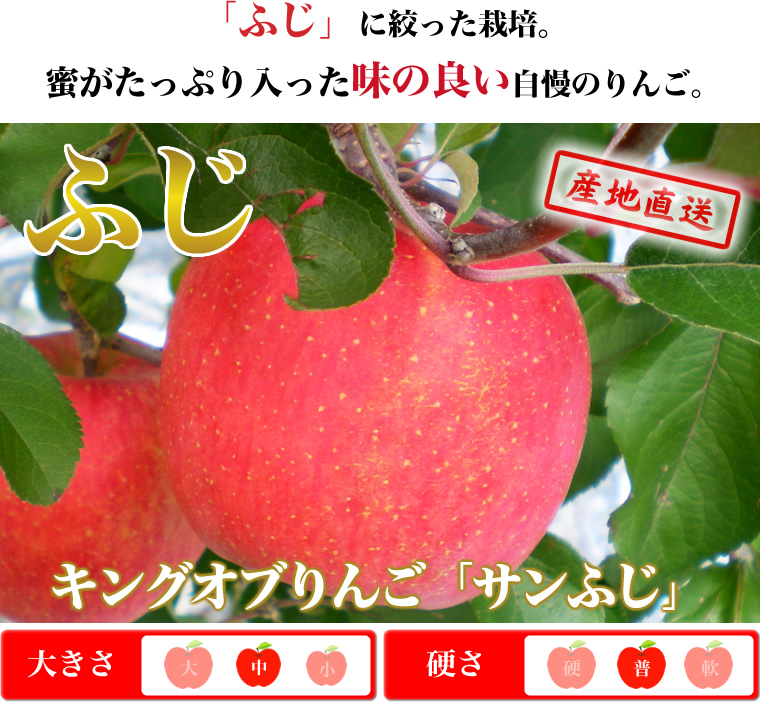 福島のりんご 直売お取り寄せなら、わたなべ果樹園