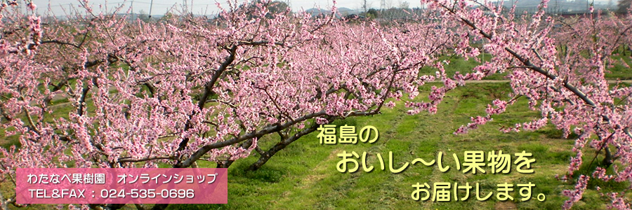 福島のおいしい桃をお取り寄せできます。