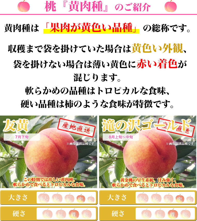 黄色い桃（黄肉種） 福島の桃を産地直送【わたなべ果樹園】